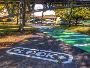 Look-Pathway-safety-by-Susan-Driscoll-by-Susan-Driscoll-edited-by-LV-1-scaled