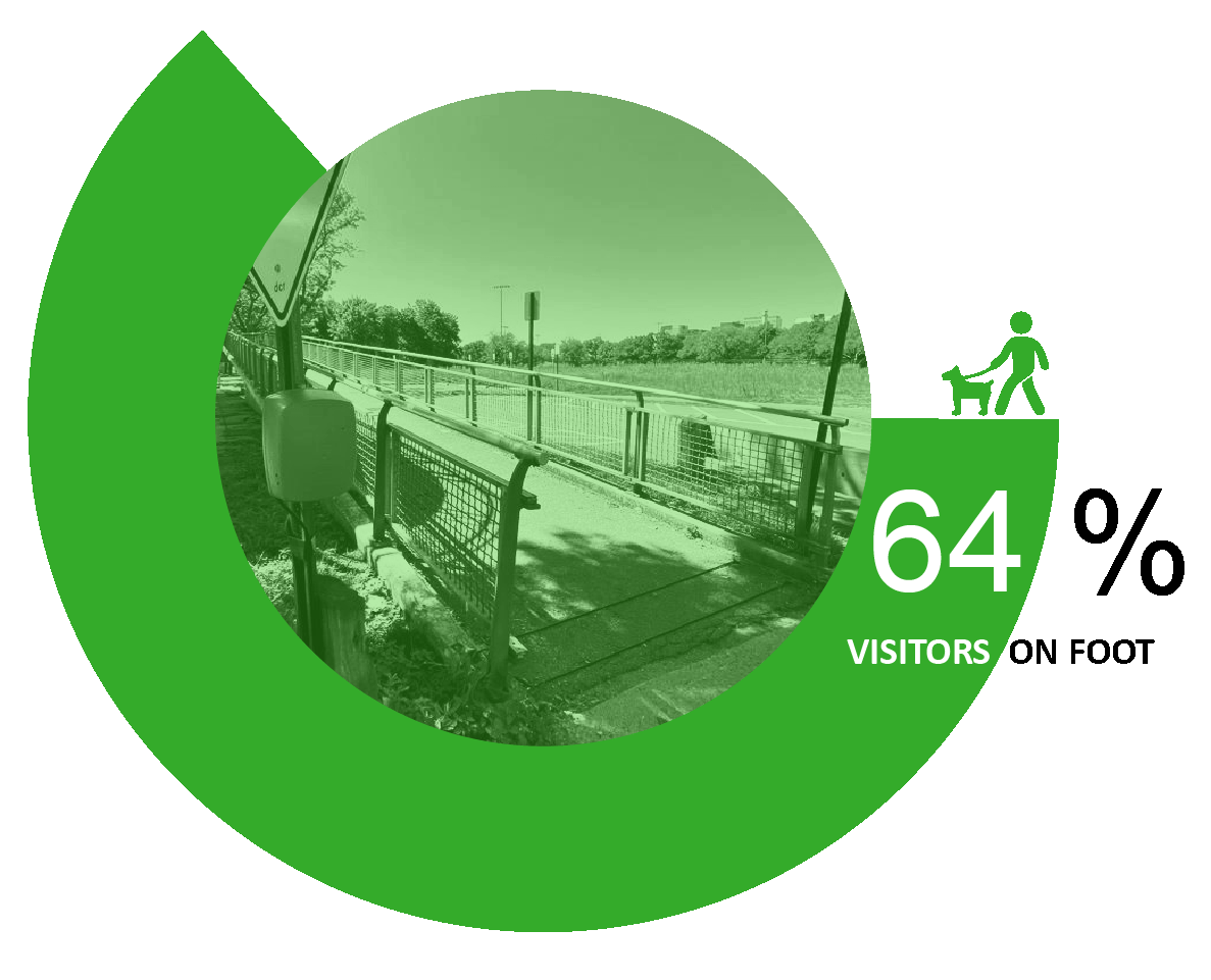 Animated green circular infographic cycling through photos of four different bridges. Each frame shows people accessing the bridges on foot, including walking dogs, running, walking independently, and walking with a cane or with children. Visitor counts appear alongside simple icons.
